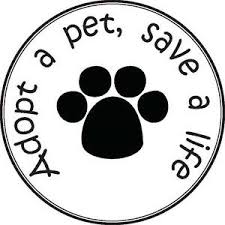 save a life icon