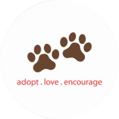 adopt sticker