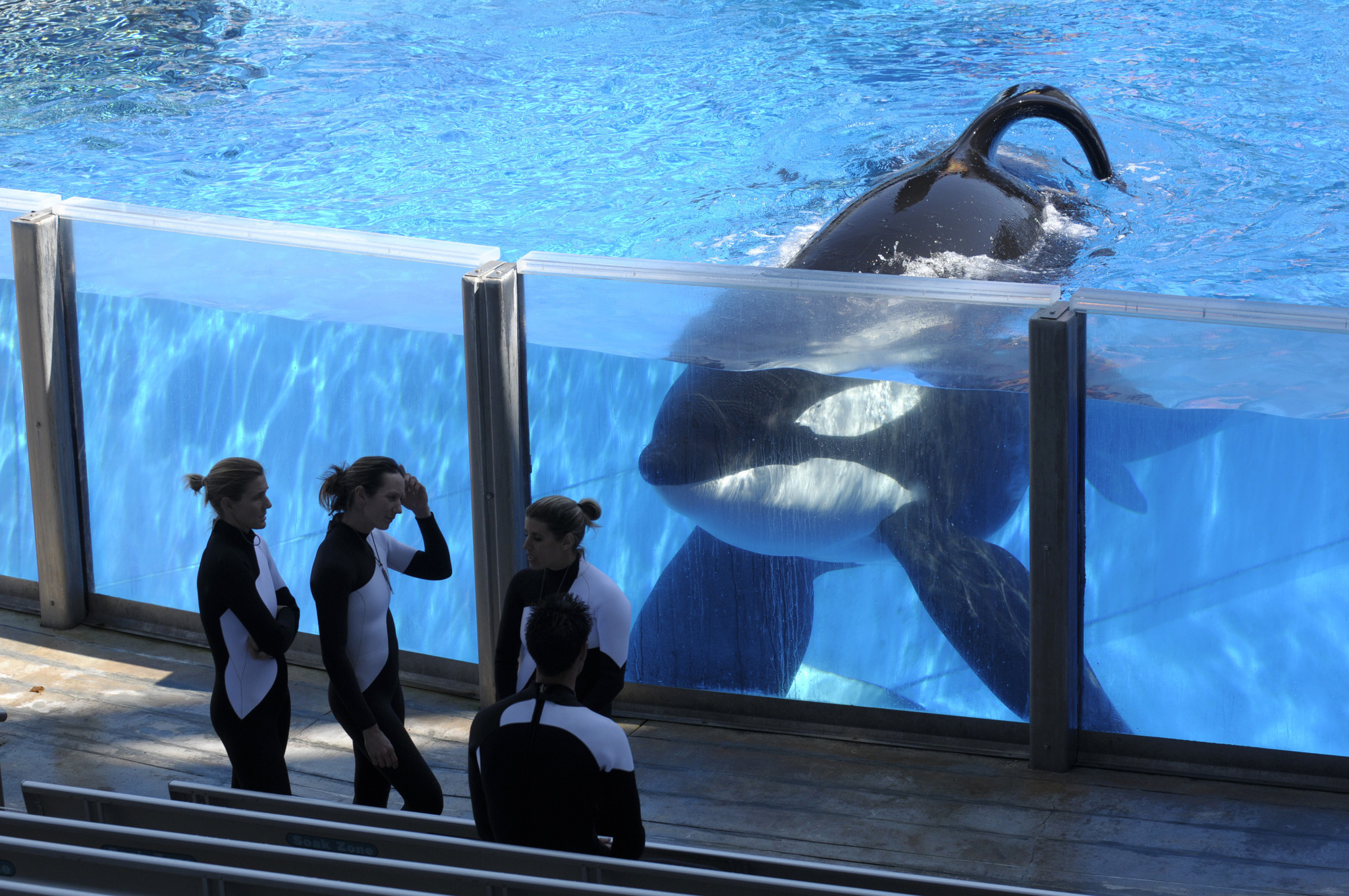 Captivity