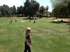 Grassy Meadow