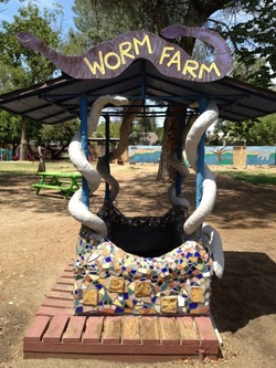 Worm Farm