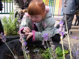 Girl learning about conservation